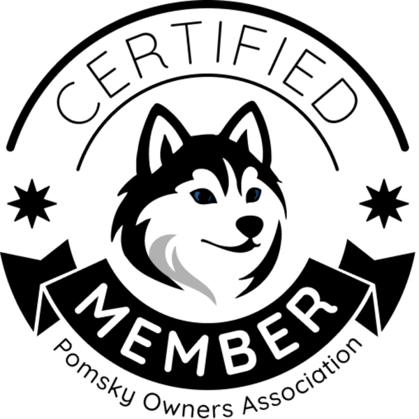 Certified member of the Pomsky Owners Association.