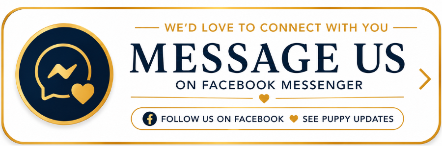 Message Mini Pomsky Puppies on Facebook Messenger to ask questions, learn about available puppies, and follow our latest puppy updates.