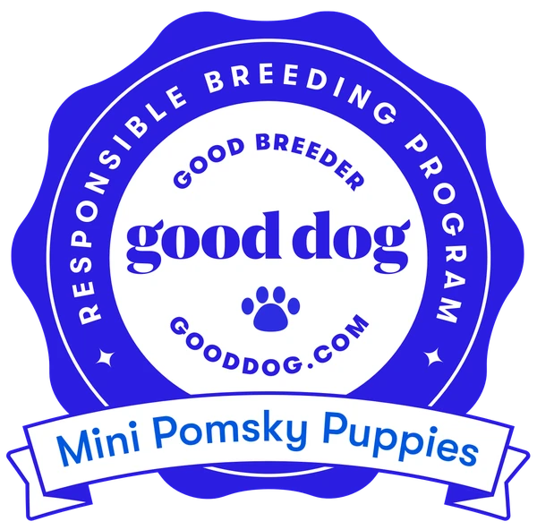 Good Dog Responsible Breeding Program badge for Mini Pomsky Puppies.